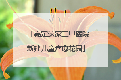嘉定这家三甲医院新建儿童疗愈花园
