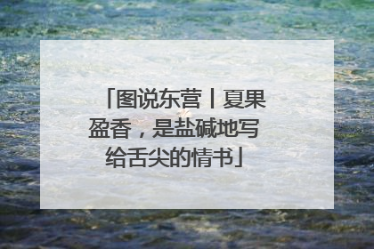 图说东营丨夏果盈香，是盐碱地写给舌尖的情书