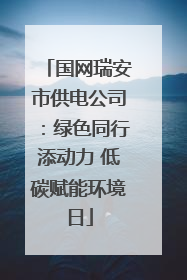 国网瑞安市供电公司：绿色同行添动力 低碳赋能环境日