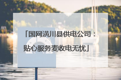 国网潢川县供电公司：贴心服务麦收电无忧