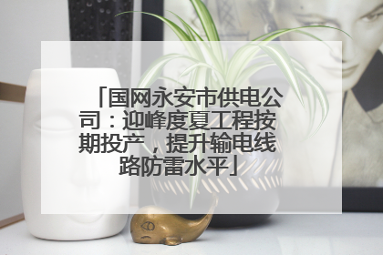 国网永安市供电公司：迎峰度夏工程按期投产，提升输电线路防雷水平