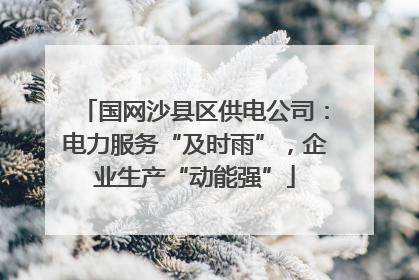 国网沙县区供电公司：电力服务“及时雨”，企业生产“动能强”