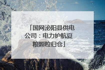 国网泌阳县供电公司：电力护航夏粮颗粒归仓