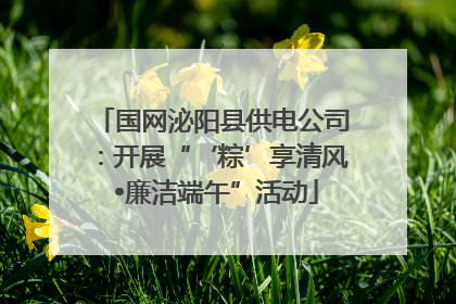 国网泌阳县供电公司：开展“‘粽’享清风 •廉洁端午”活动