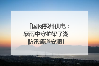 国网鄂州供电：暴雨中守护梁子湖防汛通道安澜