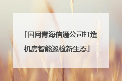 国网青海信通公司打造机房智能巡检新生态