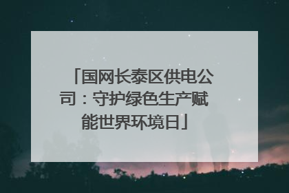 国网长泰区供电公司：守护绿色生产赋能世界环境日