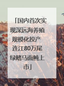 国内首次实现深远海养殖规模化投产 连江80万尾绿鳍马面鲀上市