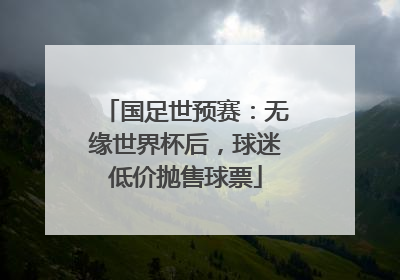 国足世预赛：无缘世界杯后，球迷低价抛售球票