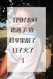 四好农村路通了 宜君苹果甜了 日子火了
