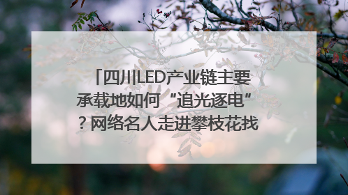 四川LED产业链主要承载地如何“追光逐电”？网络名人走进攀枝花找答案｜网络名人四川行