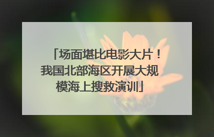 场面堪比电影大片！我国北部海区开展大规模海上搜救演训