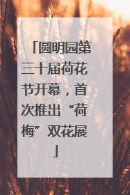 圆明园第三十届荷花节开幕，首次推出“荷梅”双花展