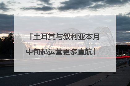 土耳其与叙利亚本月中旬起运营更多直航