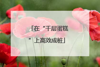 在“千层蛋糕”上高效成桩