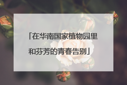 在华南国家植物园里和芬芳的青春告别