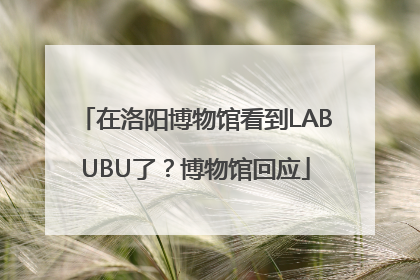 在洛阳博物馆看到LABUBU了？博物馆回应
