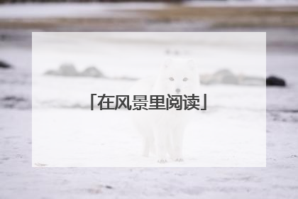 在风景里阅读
