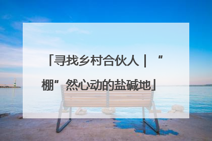 寻找乡村合伙人｜“棚”然心动的盐碱地