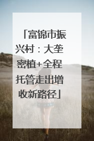 富锦市振兴村：大垄密植+全程托管走出增收新路径