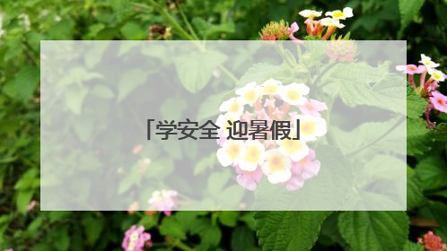 学安全 迎暑假