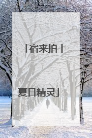 宿来拍丨夏日精灵