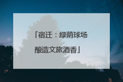 宿迁：绿荫球场酿造文旅酒香