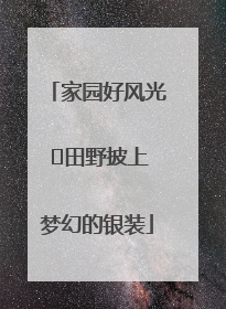 家园好风光 ⎮田野披上梦幻的银装