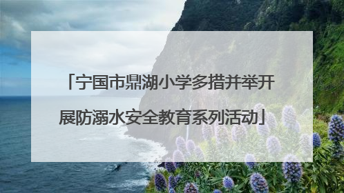 宁国市鼎湖小学多措并举开展防溺水安全教育系列活动