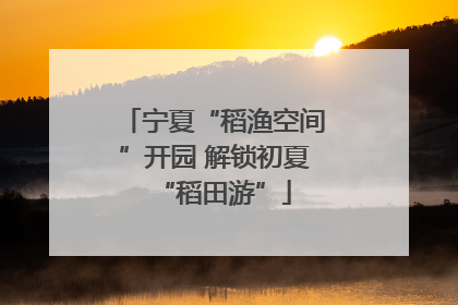 宁夏“稻渔空间”开园 解锁初夏“稻田游”