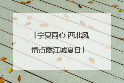 宁夏同心 西北风情点燃江城夏日
