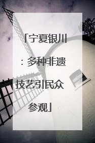 宁夏银川：多种非遗技艺引民众参观