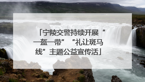 宁陵交警持续开展“一盔一带”“礼让斑马线”主题公益宣传活