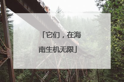 它们，在海南生机无限