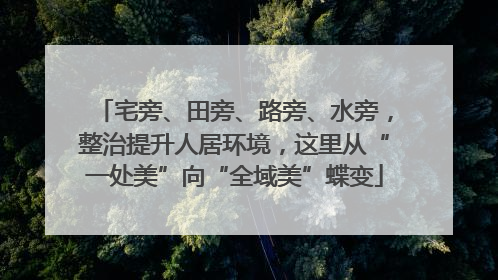 宅旁、田旁、路旁、水旁，整治提升人居环境，这里从“一处美”向“全域美”蝶变