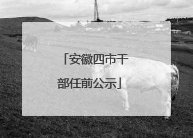 安徽四市干部任前公示