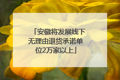 安徽将发展线下无理由退货承诺单位2万家以上