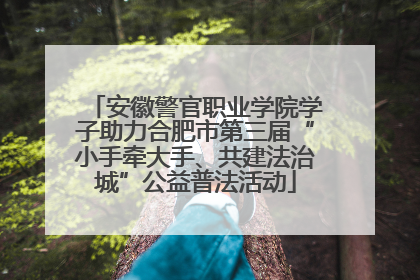 安徽警官职业学院学子助力合肥市第三届“小手牵大手、共建法治城”公益普法活动