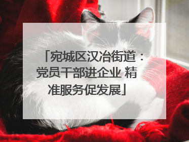 宛城区汉冶街道：党员干部进企业 精准服务促发展