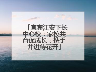 宜宾江安下长中心校：家校共育促成长，携手并进待花开