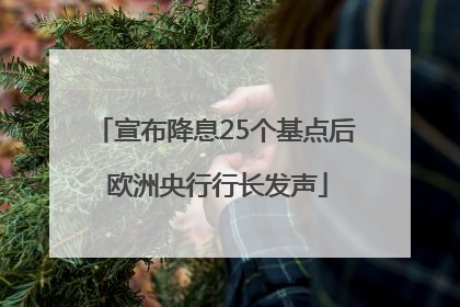 宣布降息25个基点后 欧洲央行行长发声
