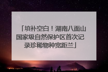 填补空白！湖南八面山国家级自然保护区首次记录珍稀物种宽距兰
