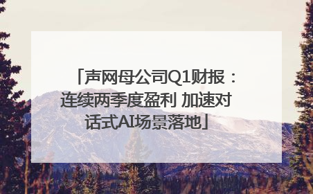 声网母公司Q1财报：连续两季度盈利 加速对话式AI场景落地