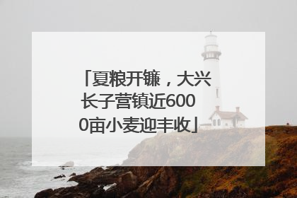 夏粮开镰，大兴长子营镇近6000亩小麦迎丰收