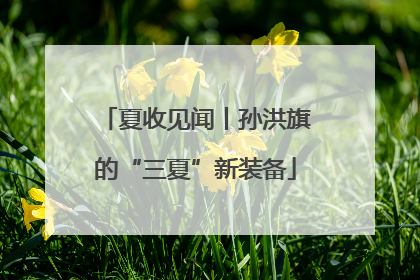 夏收见闻丨孙洪旗的“三夏”新装备