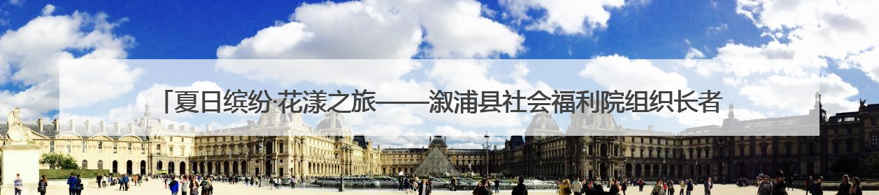 夏日缤纷·花漾之旅——溆浦县社会福利院组织长者开展“畅游薰衣草庄园 共享紫色浪漫”户外活动