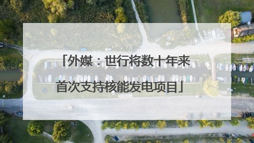 外媒：世行将数十年来首次支持核能发电项目