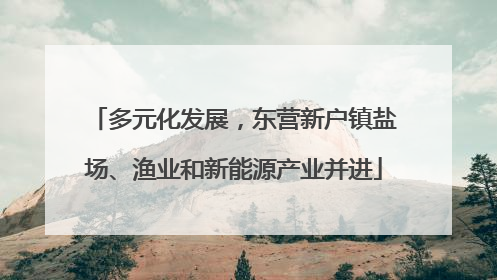 多元化发展，东营新户镇盐场、渔业和新能源产业并进