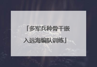 多军兵种骨干嵌入远海编队训练