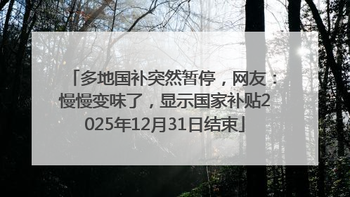 多地国补突然暂停，网友：慢慢变味了，显示国家补贴2025年12月31日结束